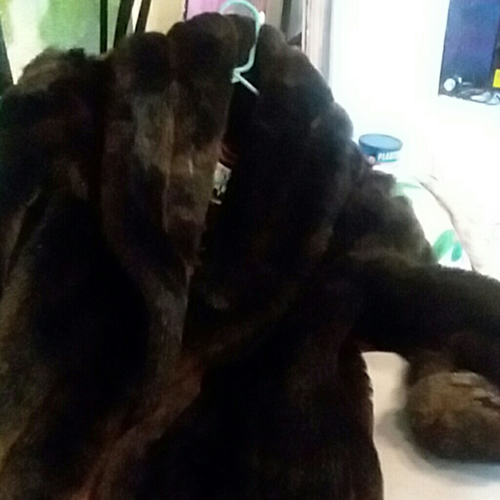 Fur